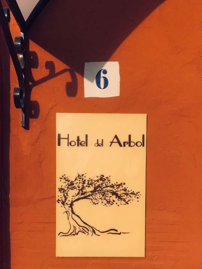 Hotel Del Arbol Xàtiva Extérieur photo